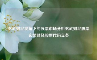 玄武财经视角下的股票市场分析玄武财经股票玄武财经股票代码立冬