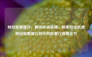 财经股票图片，解读市场脉搏，探索投资机遇财经股票图片财经网股票行情寒衣节