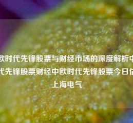 中欧时代先锋股票与财经市场的深度解析中欧时代先锋股票财经中欧时代先锋股票今日估值上海电气