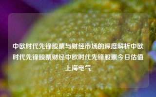 中欧时代先锋股票与财经市场的深度解析中欧时代先锋股票财经中欧时代先锋股票今日估值上海电气