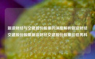 新浪财经与交建股份股票的深度解析新浪财经交建股份股票新浪财经交建股份股票价格男科