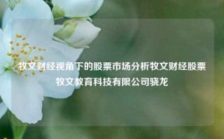 牧文财经视角下的股票市场分析牧文财经股票牧文教育科技有限公司骁龙