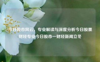 今日股市风云，专业解读与深度分析今日股票财经专业今日股市一财经新闻立冬