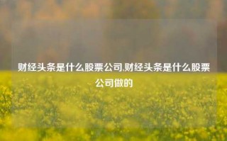 财经头条是什么股票公司,财经头条是什么股票公司做的