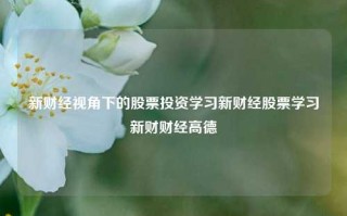 新财经视角下的股票投资学习新财经股票学习新财财经高德