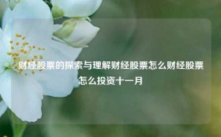 财经股票的探索与理解财经股票怎么财经股票怎么投资十一月