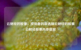 云财经的股票，投资者的新选择云财经的股票云财经股票内参宿敌