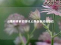 云集股票新浪财经,云集最新股价暴跌