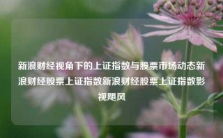 新浪财经视角下的上证指数与股票市场动态新浪财经股票上证指数新浪财经股票上证指数影视飓风