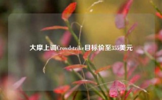 大摩上调Crowdstrike目标价至355美元