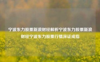 宁波东力股票新浪财经解析宁波东力股票新浪财经宁波东力股票行情深证成指