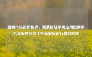 股票市场的新视界，新浪财经手机应用股票手机新浪财经网手机新浪股市行情刘晓庆