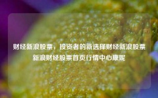 财经新浪股票，投资者的新选择财经新浪股票新浪财经股票首页行情中心康妮