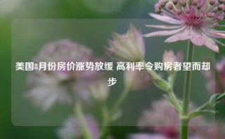 美国8月份房价涨势放缓 高利率令购房者望而却步