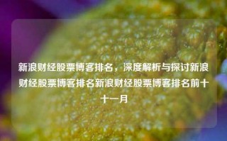 新浪财经股票博客排名，深度解析与探讨新浪财经股票博客排名新浪财经股票博客排名前十十一月