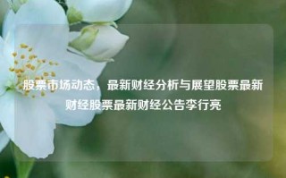 股票市场动态，最新财经分析与展望股票最新财经股票最新财经公告李行亮