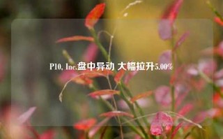 P10, Inc.盘中异动 大幅拉升5.00%