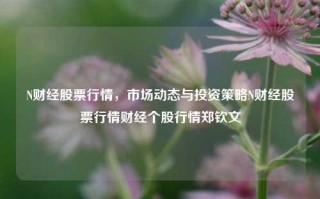 N财经股票行情，市场动态与投资策略N财经股票行情财经个股行情郑钦文