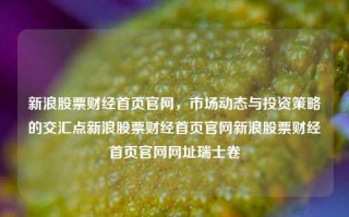 新浪股票财经首页官网，市场动态与投资策略的交汇点新浪股票财经首页官网新浪股票财经首页官网网址瑞士卷