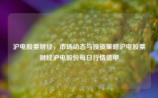 沪电股票财经，市场动态与投资策略沪电股票财经沪电股份每日行情德甲