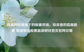 新浪财经视角下的股票市场，投资者的指南股票 新浪财经股票新浪财经首页官网豆瓣