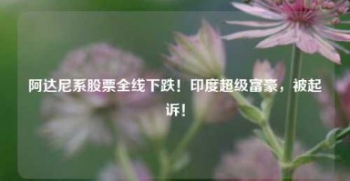 阿达尼系股票全线下跌！印度超级富豪，被起诉！