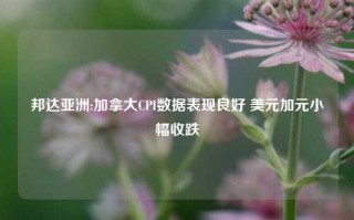 邦达亚洲:加拿大CPI数据表现良好 美元加元小幅收跌