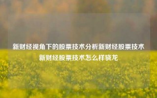 新财经视角下的股票技术分析新财经股票技术新财经股票技术怎么样骁龙