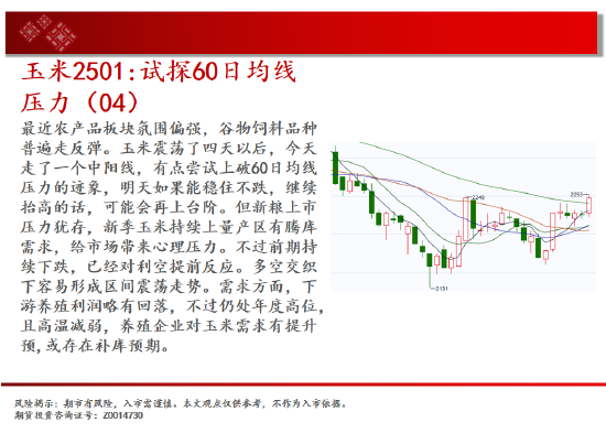 中天期货:原油跌势放缓 白银再度反弹-第7张图片-第一财经