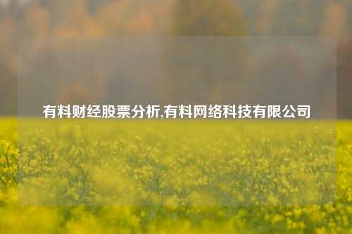 有料财经股票分析,有料网络科技有限公司-第1张图片-第一财经