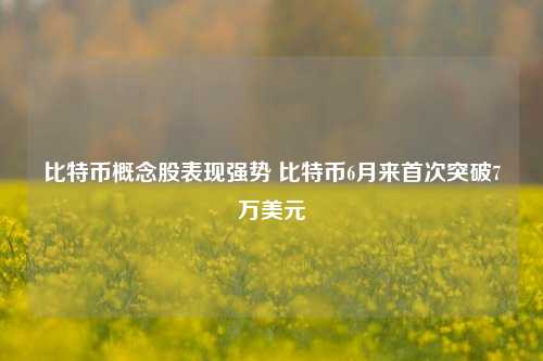 比特币概念股表现强势 比特币6月来首次突破7万美元-第1张图片-第一财经