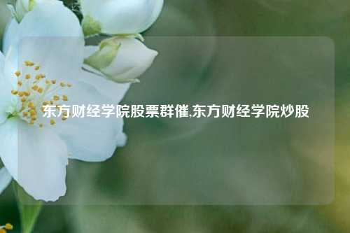 东方财经学院股票群催,东方财经学院炒股-第1张图片-第一财经