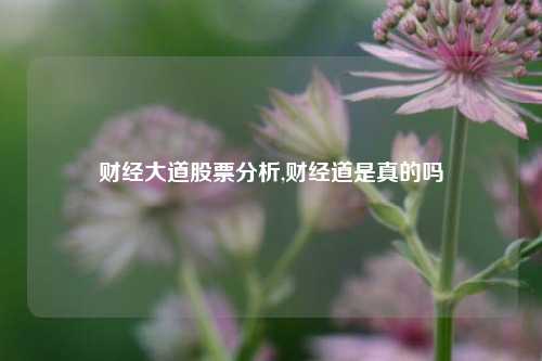 财经大道股票分析,财经道是真的吗-第1张图片-第一财经