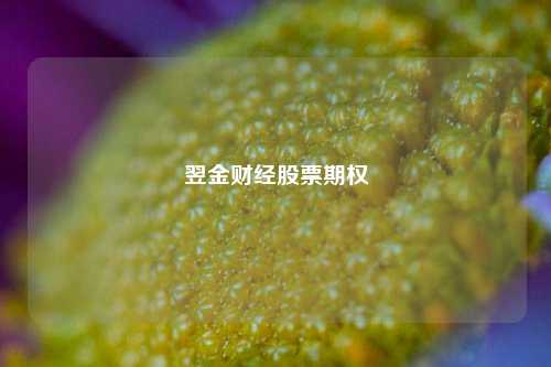 翌金财经股票期权-第1张图片-第一财经