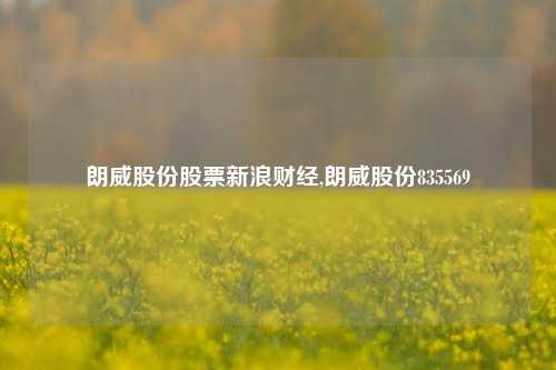 朗威股份股票新浪财经,朗威股份835569-第1张图片-第一财经