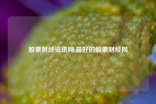 股票财经资讯网,最好的股票财经网-第1张图片-第一财经