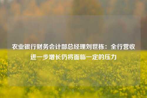 农业银行财务会计部总经理刘世栋：全行营收进一步增长仍将面临一定的压力-第1张图片-第一财经