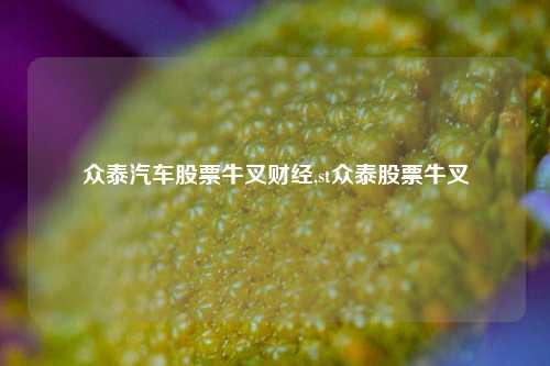 众泰汽车股票牛叉财经,st众泰股票牛叉-第1张图片-第一财经