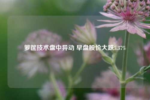 箩筐技术盘中异动 早盘股价大跌5.37%-第1张图片-第一财经