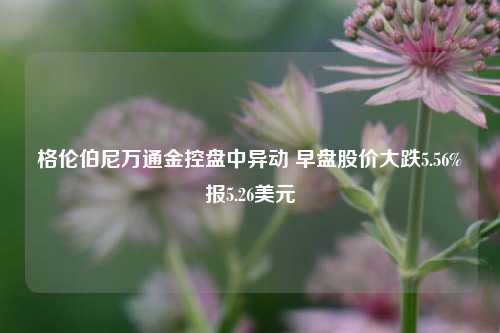 格伦伯尼万通金控盘中异动 早盘股价大跌5.56%报5.26美元-第1张图片-第一财经