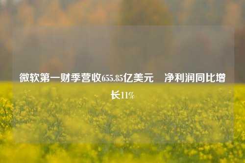 微软第一财季营收655.85亿美元 净利润同比增长11%-第1张图片-第一财经