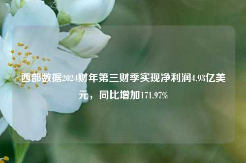 西部数据2024财年第三财季实现净利润4.93亿美元，同比增加171.97%-第1张图片-第一财经