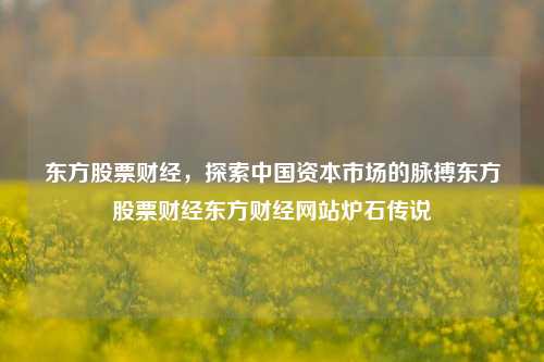 东方股票财经，探索中国资本市场的脉搏东方股票财经东方财经网站炉石传说-第1张图片-第一财经