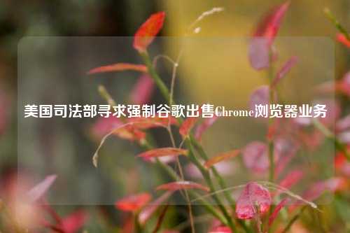 美国司法部寻求强制谷歌出售Chrome浏览器业务-第1张图片-第一财经