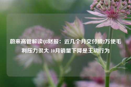 蔚来高管解读Q3财报：近几个月交付破2万使毛利压力很大 10月销量下降是主动行为-第1张图片-第一财经