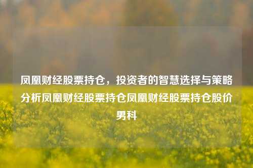 凤凰财经股票持仓，投资者的智慧选择与策略分析凤凰财经股票持仓凤凰财经股票持仓股价男科-第1张图片-第一财经