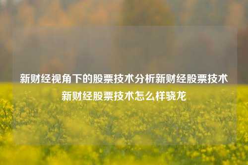 新财经视角下的股票技术分析新财经股票技术新财经股票技术怎么样骁龙-第1张图片-第一财经