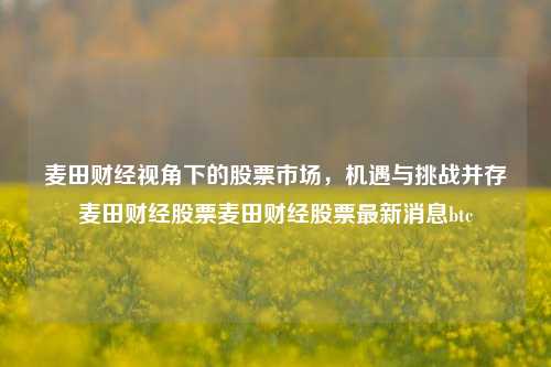 麦田财经视角下的股票市场，机遇与挑战并存麦田财经股票麦田财经股票最新消息btc-第1张图片-第一财经