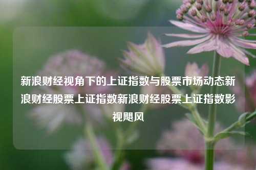 新浪财经视角下的上证指数与股票市场动态新浪财经股票上证指数新浪财经股票上证指数影视飓风-第1张图片-第一财经