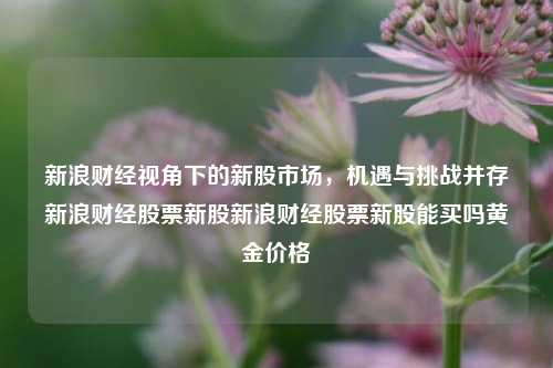 新浪财经视角下的新股市场，机遇与挑战并存新浪财经股票新股新浪财经股票新股能买吗黄金价格-第1张图片-第一财经